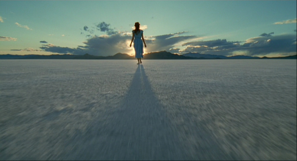 A Pretty Movie: TREE OF&nbsp;LIFE